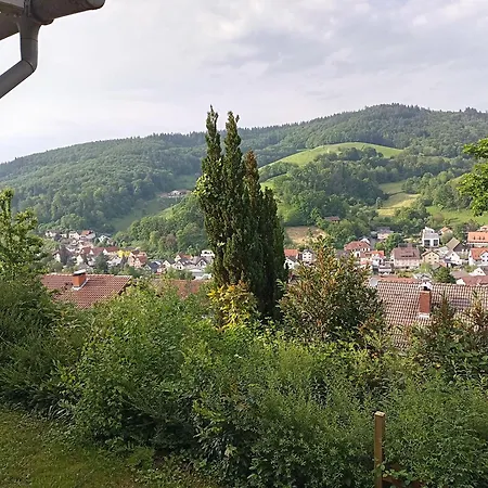 Das Tor Zum Odenwald Gorxheimertal Exterior photo