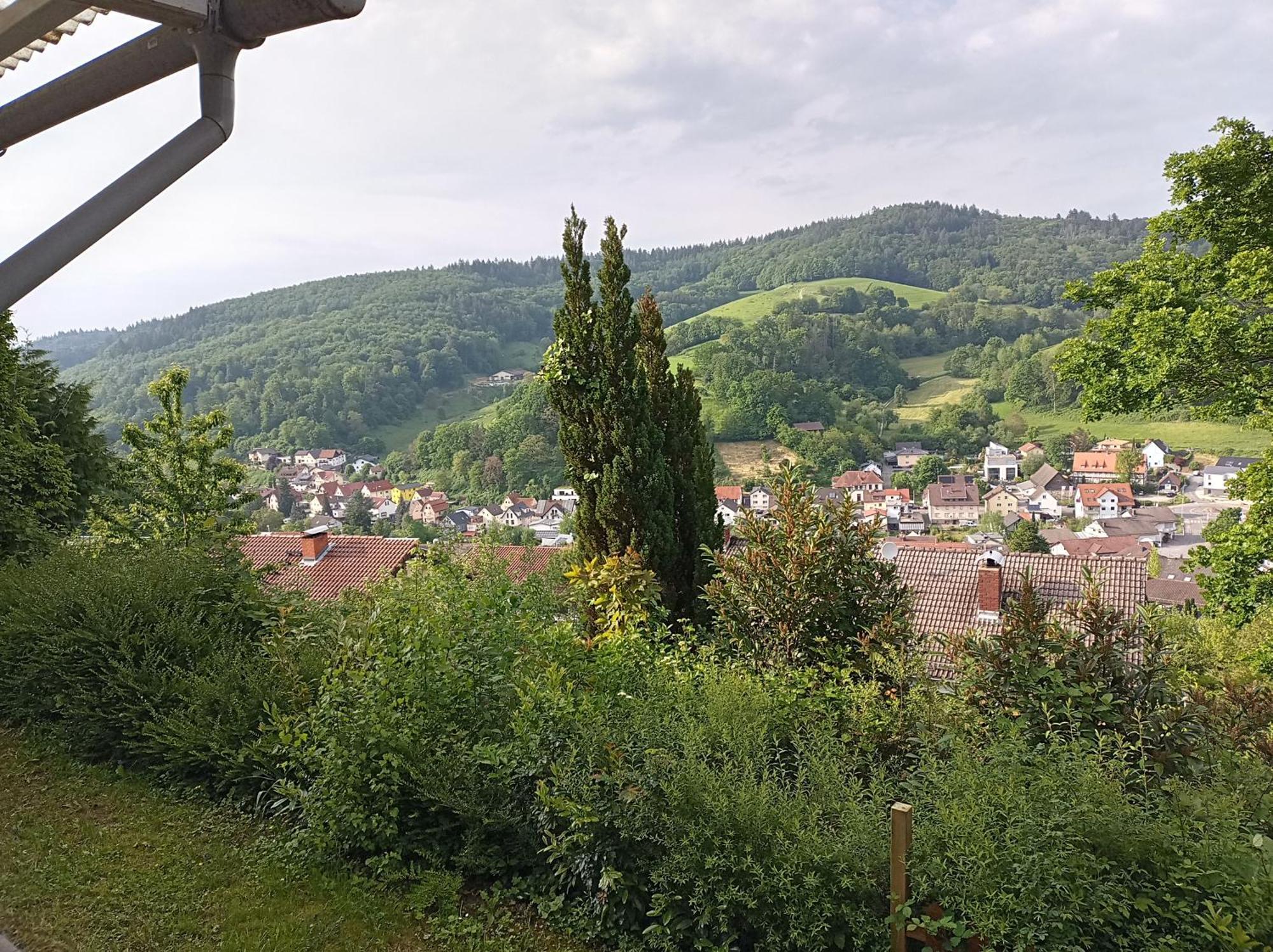 Tor Zum Odenwald