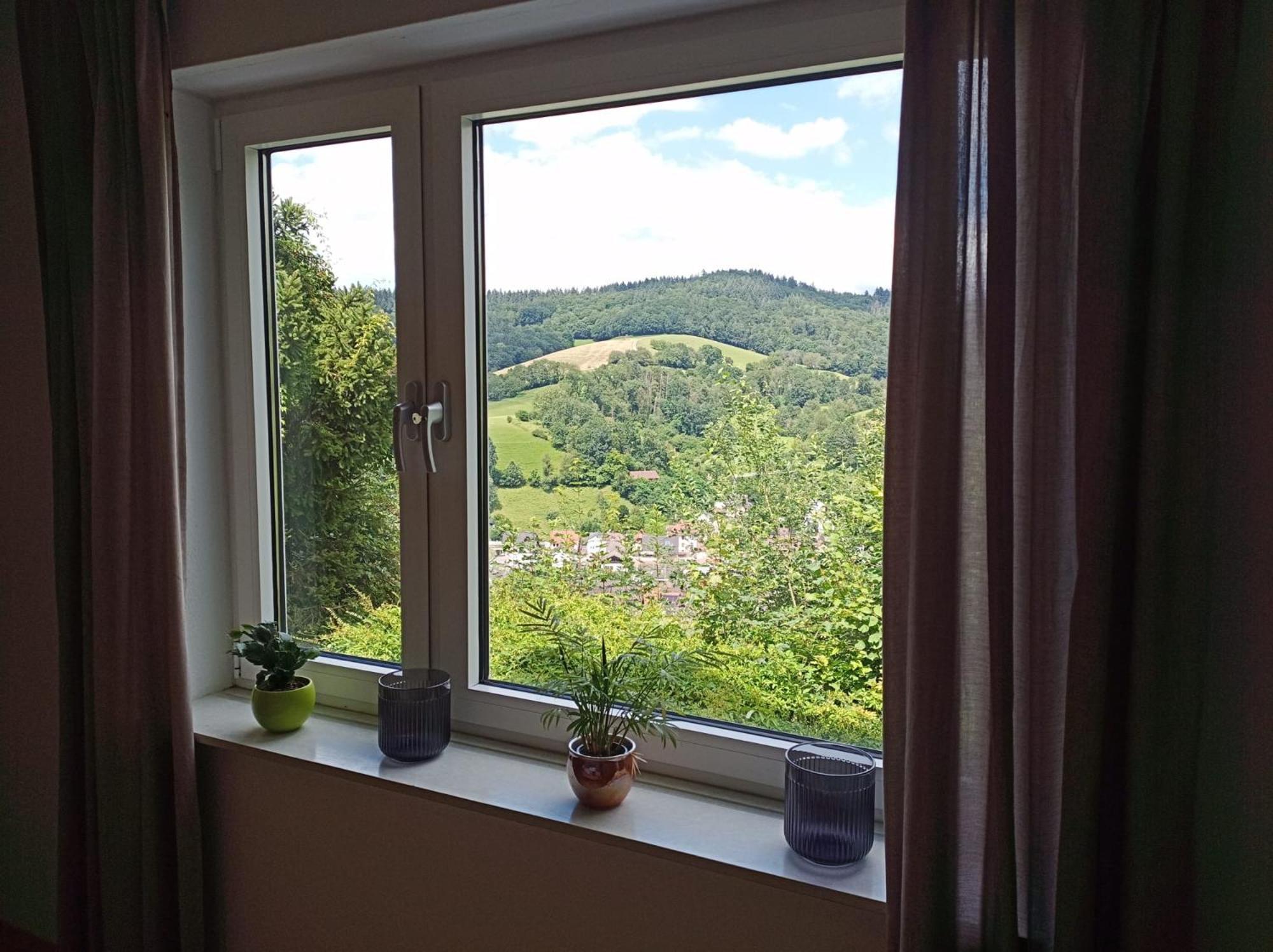 Tor Zum Odenwald Apartment