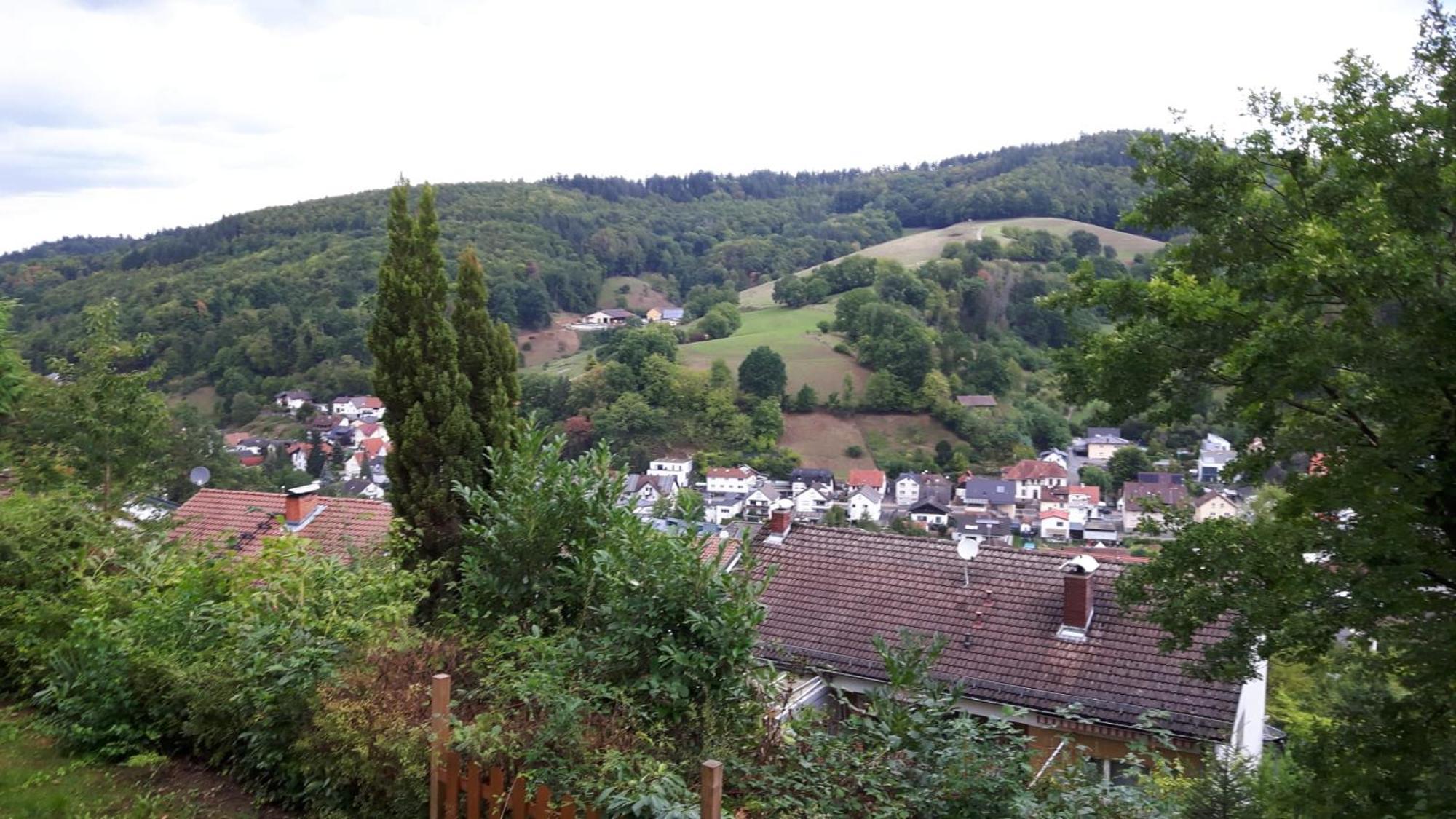 Tor Zum Odenwald * Gorxheimertal